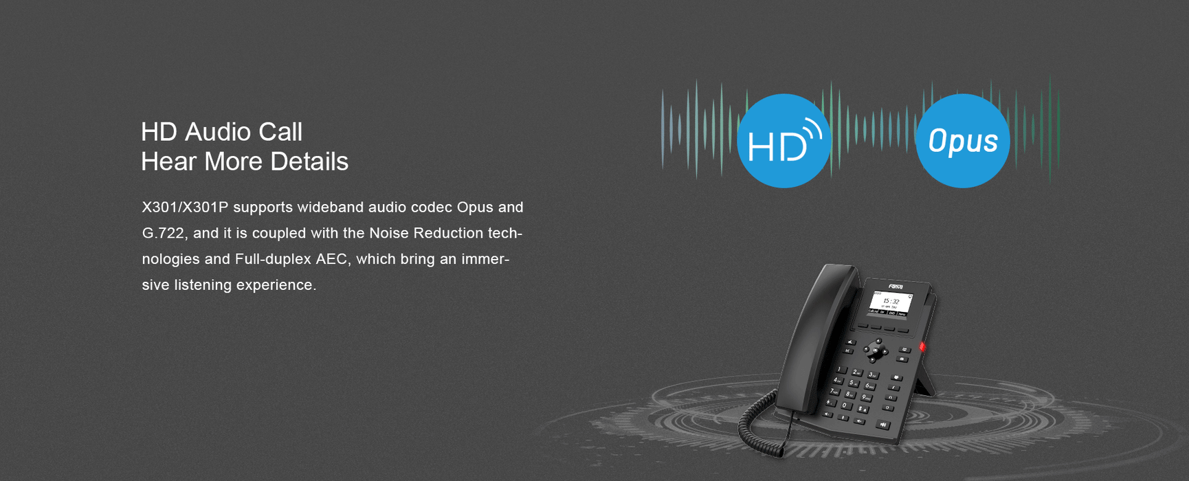Fanvil X301P Entry Level IP Phone