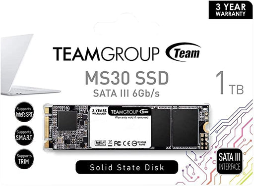 TeamGroup MS30 1TB with SLC Cache 3D NAND TLC M.2 2280 SATA III 6Gb/s Internal Solid State Drive SSD - TM8PS71T0C102