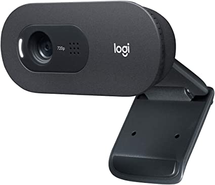 Logitech C505 HD Webcam,720p HD External USB Camera with Long-Range Microphone - 960-001364