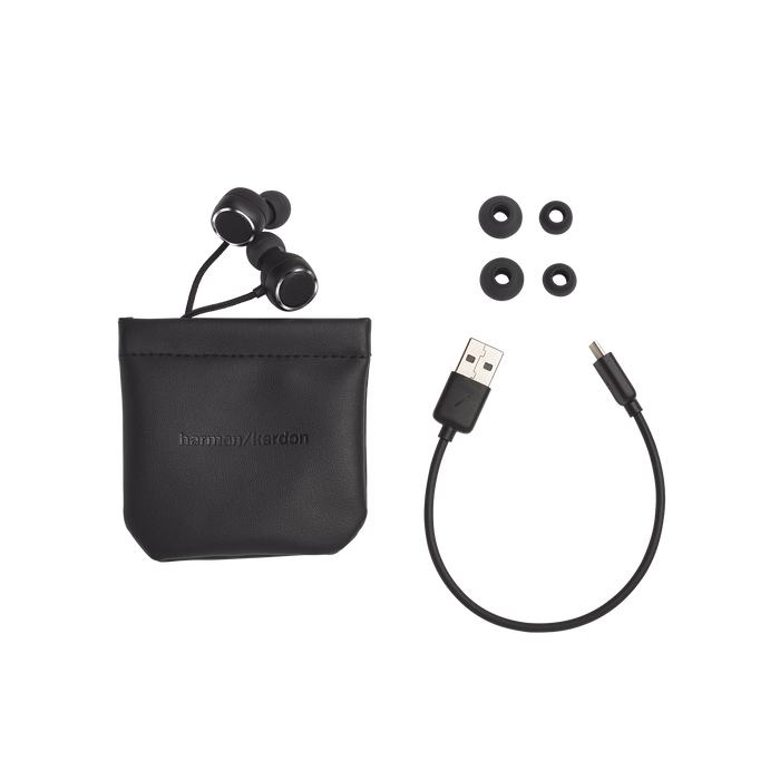 Harman Kardon FLY BT Wireless Earphones