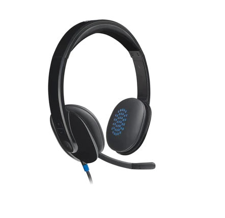 Logitech H540 USB Headset with Noise-Cancelling Mic (981-000480)