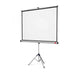 Projector Screen Wall Mount 127 by 127 cm (50*50 inches)