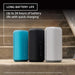 Sony SRS-XE300 Portable Wireless Bluetooth Speaker