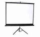 Tripod Projector Screen 240 x 240 cm ( 94 by 94 Inches)
