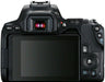 Canon EOS 250D DSLR Camera with 18-55mm f/4-5.6 IS STM Lens