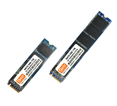 DATO 1TB SSD DP700 M.2 PCIe NVMe 256GB - with Max read/write speed of 2500MB/1200MB